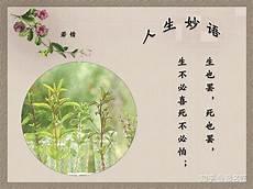 宇字取名寓意
